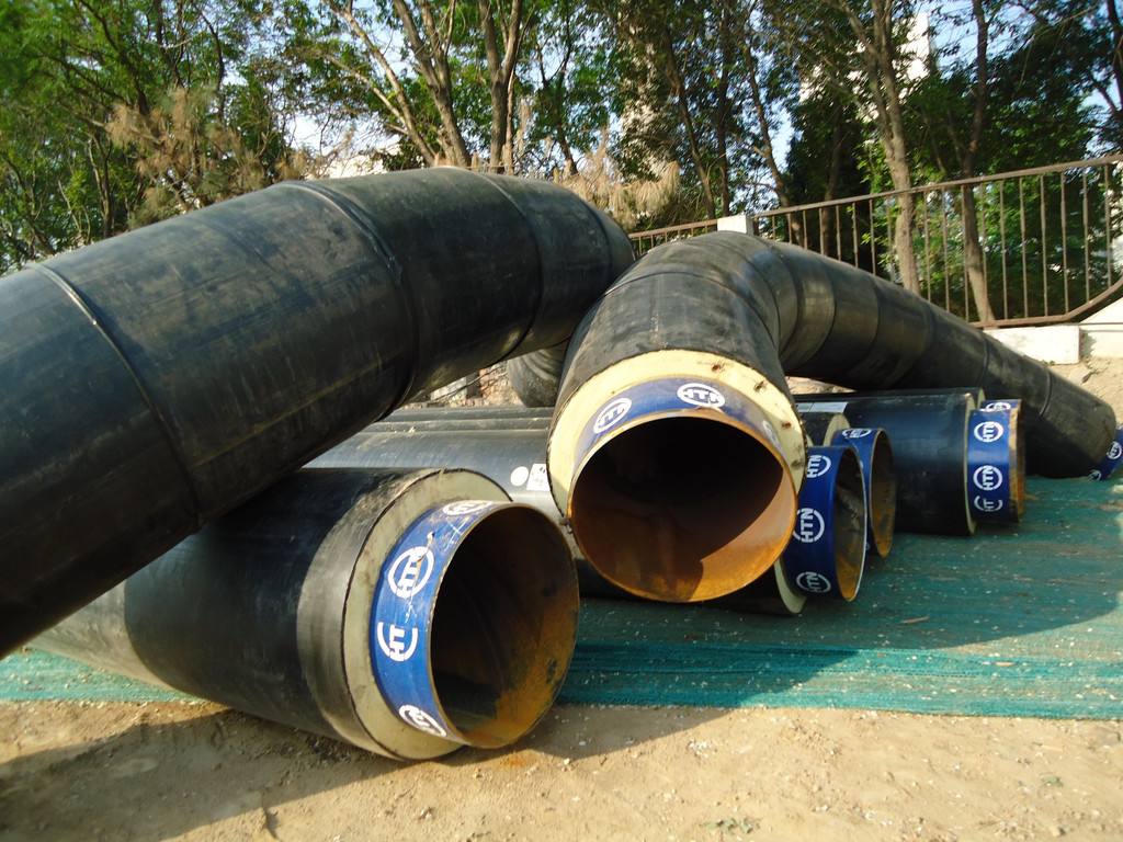 ���؏���